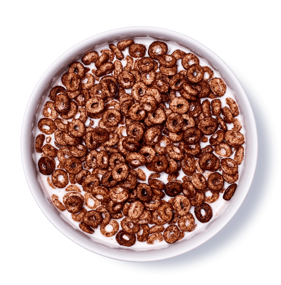 Bowl of Cocoa Cereal